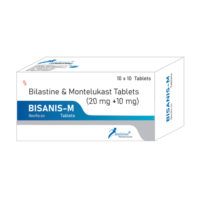 BISANIS-M