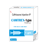 Camtrex-1GM