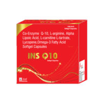 INS-Q10