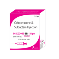 INSIZONE-SB 1.5