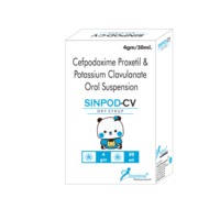 SINPOD-CV DRY  SYRUP